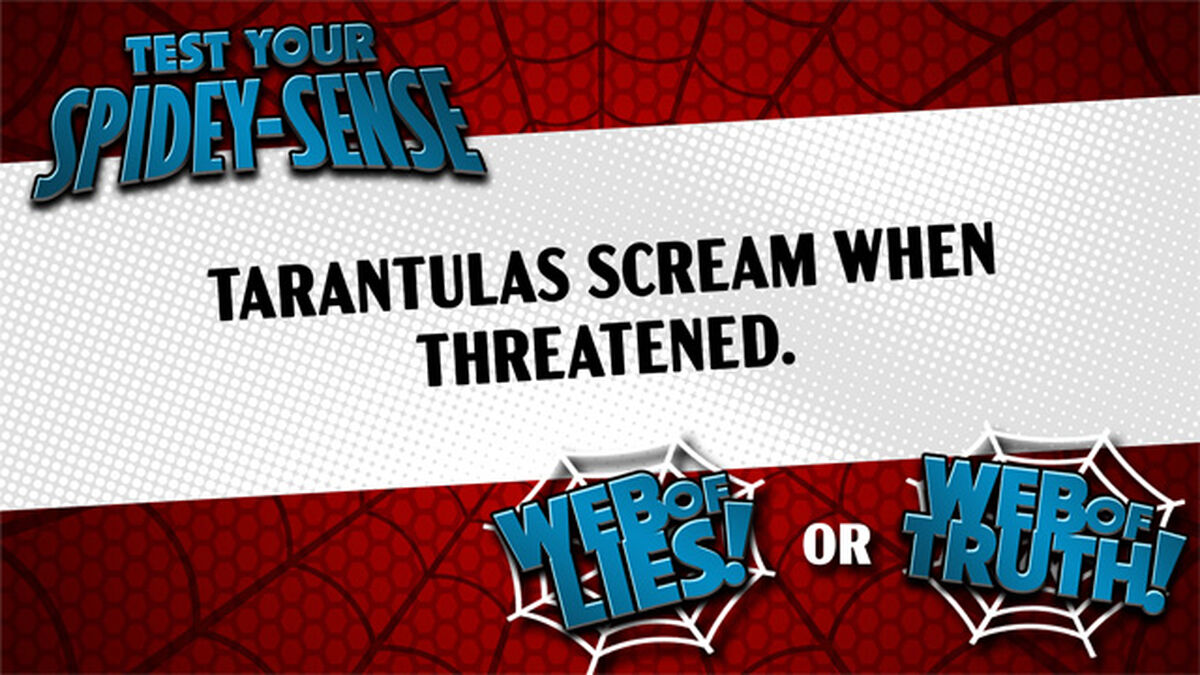 Test Your Spidey-Sense image number null